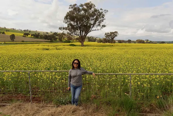 Canola (6)